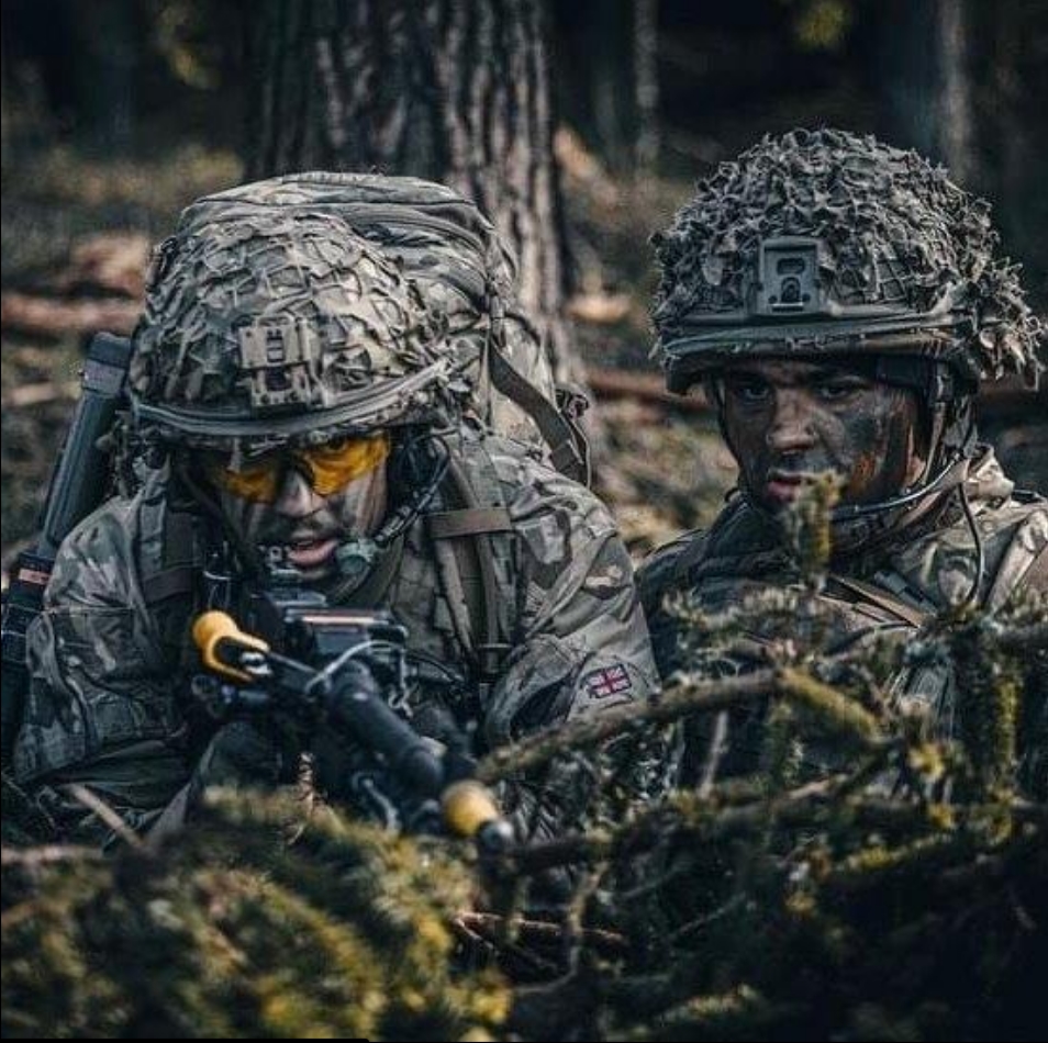British - The Queen's Own Yeomanry (QOY) is one of the Army Reserve's ...