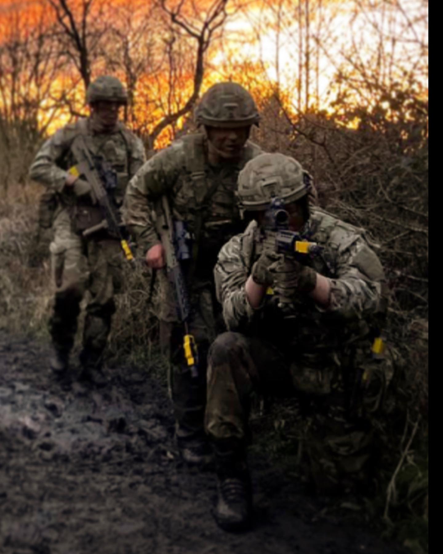British - The Queen's Own Yeomanry (QOY) is one of the Army Reserve's ...