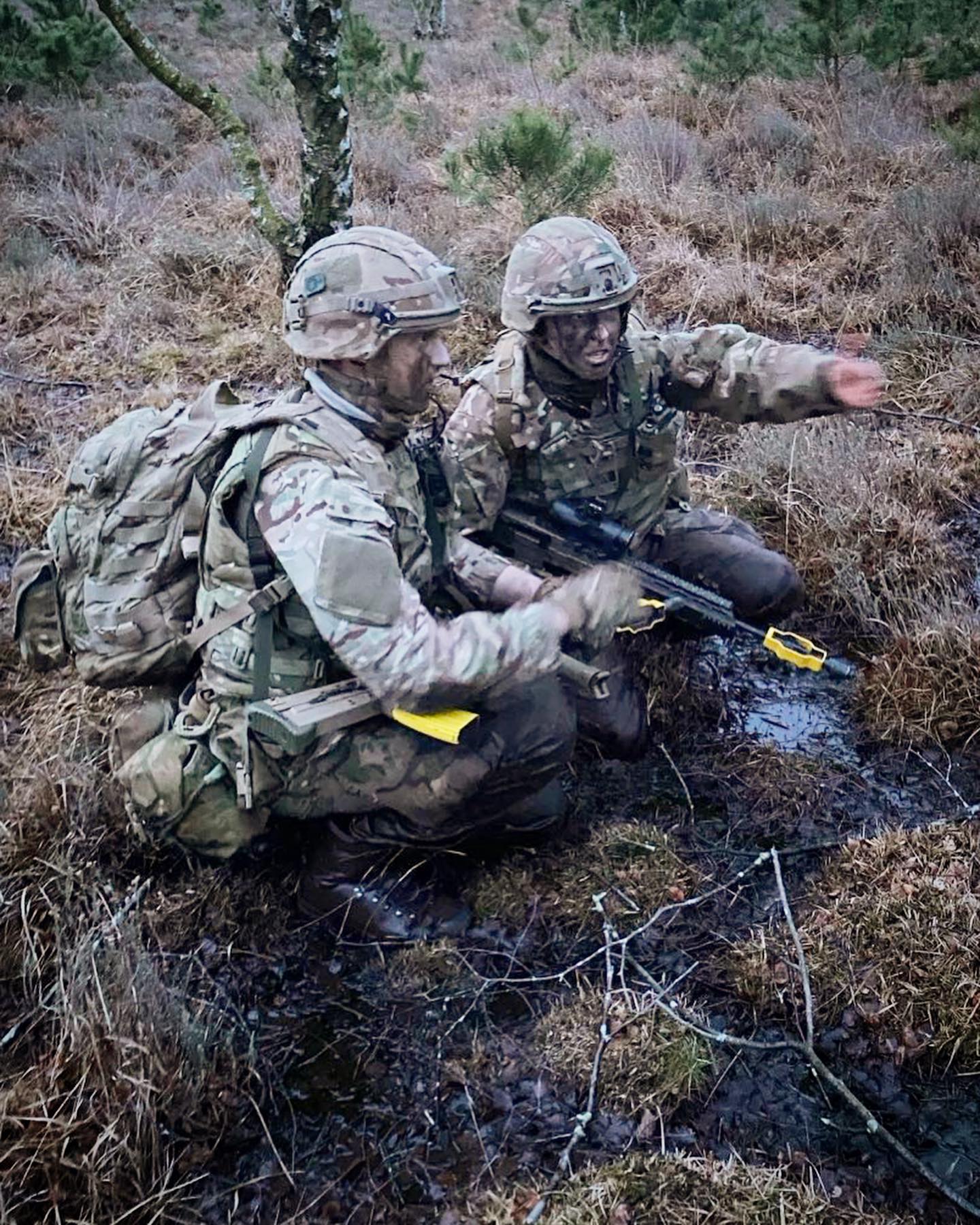 British - The Queen's Own Yeomanry (QOY) is one of the Army Reserve's ...