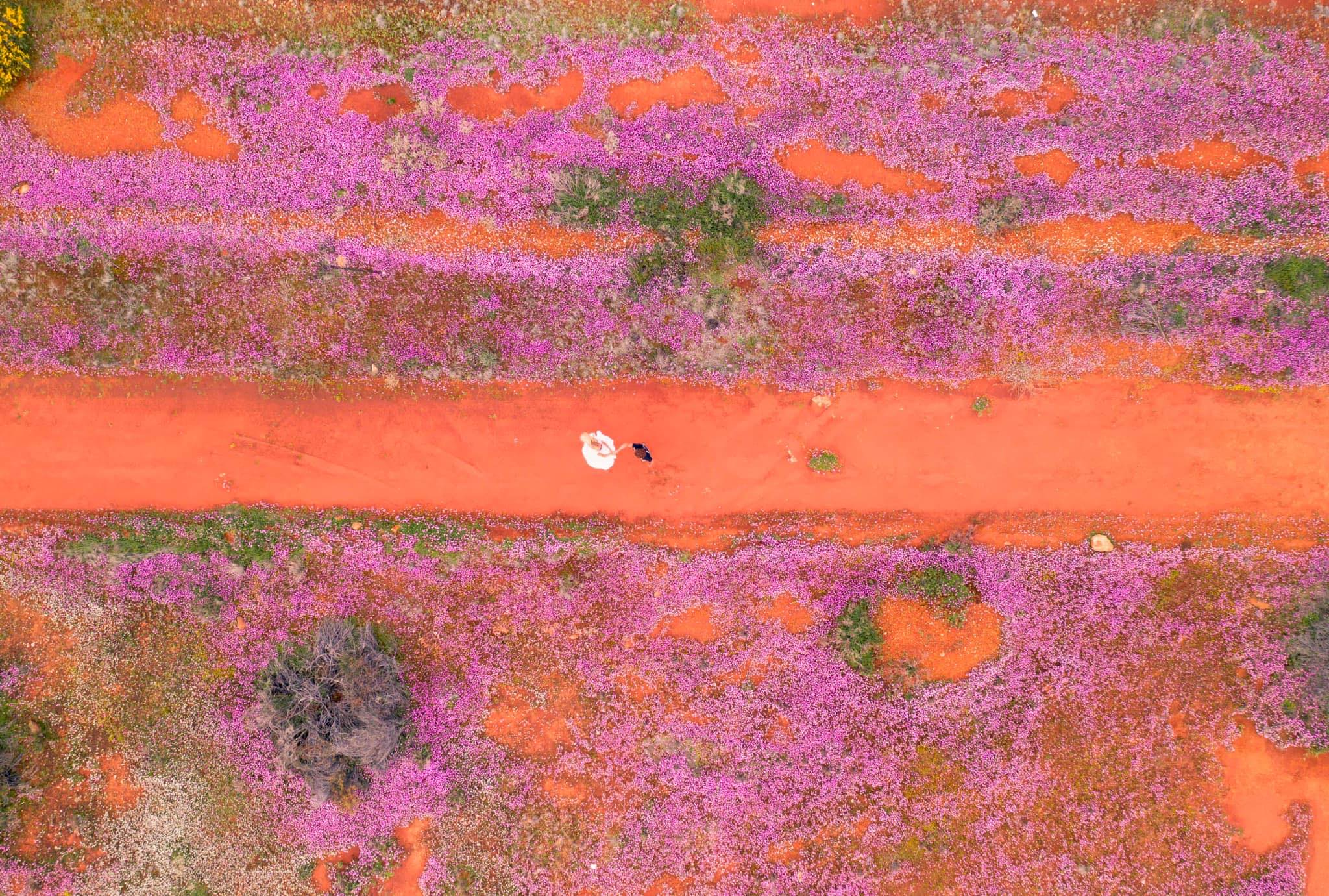 Gibb River Road, Western Australia Sticker for Sale by WattleStudio