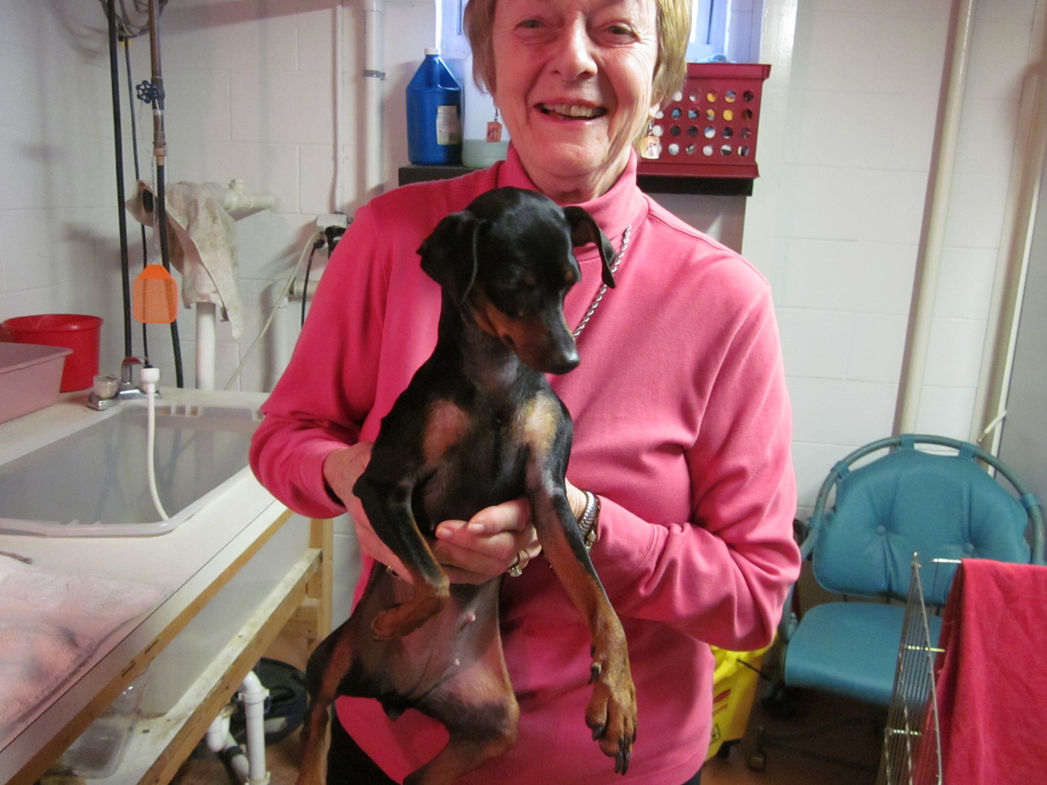 Miniature - Update we are please to announce Ziggy finally found a home ...