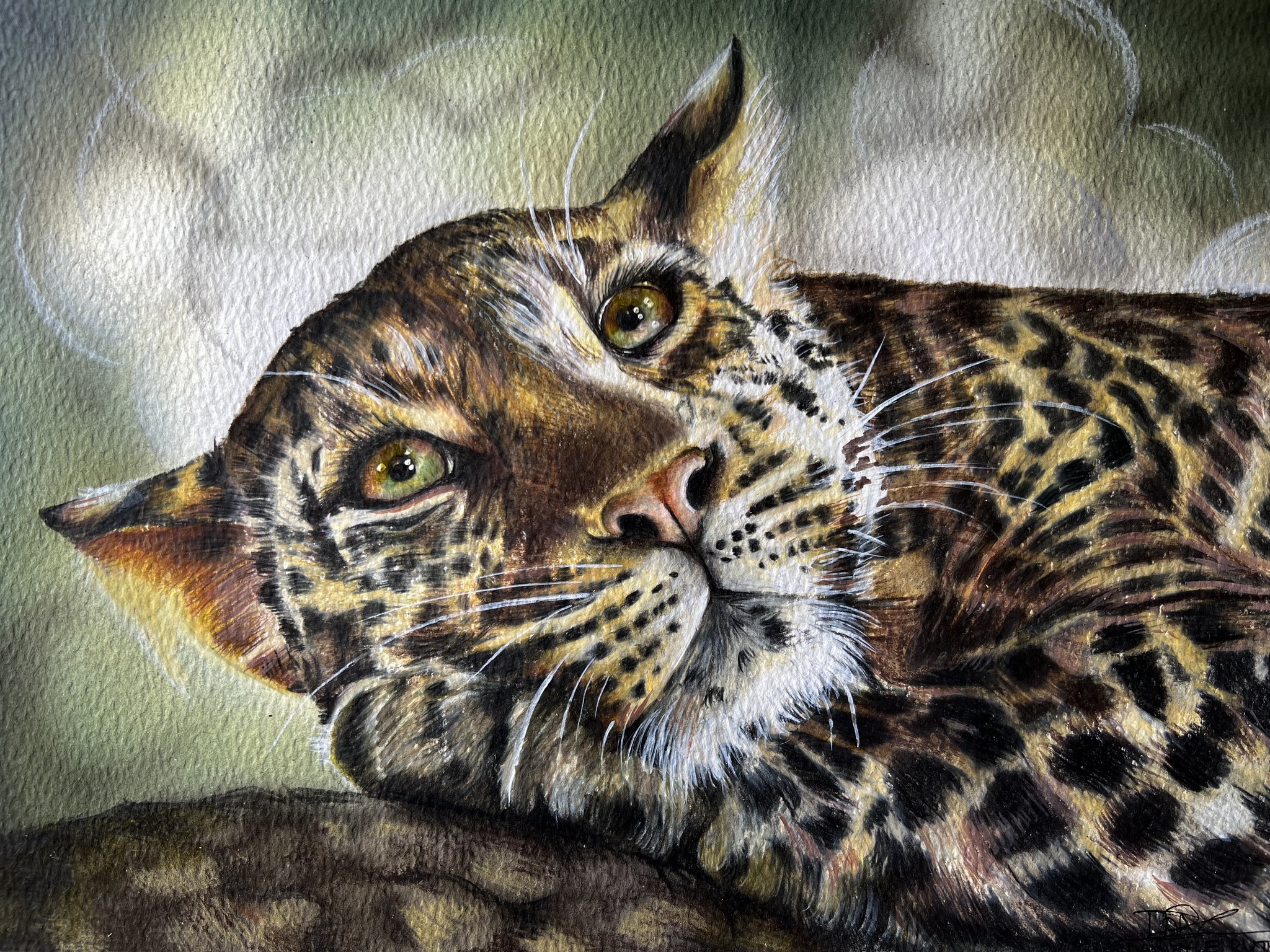 Portraits by Danielle Ruth