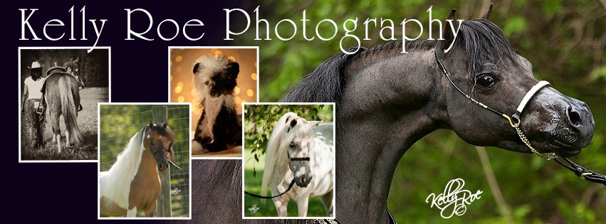 Kelly Roe Photography