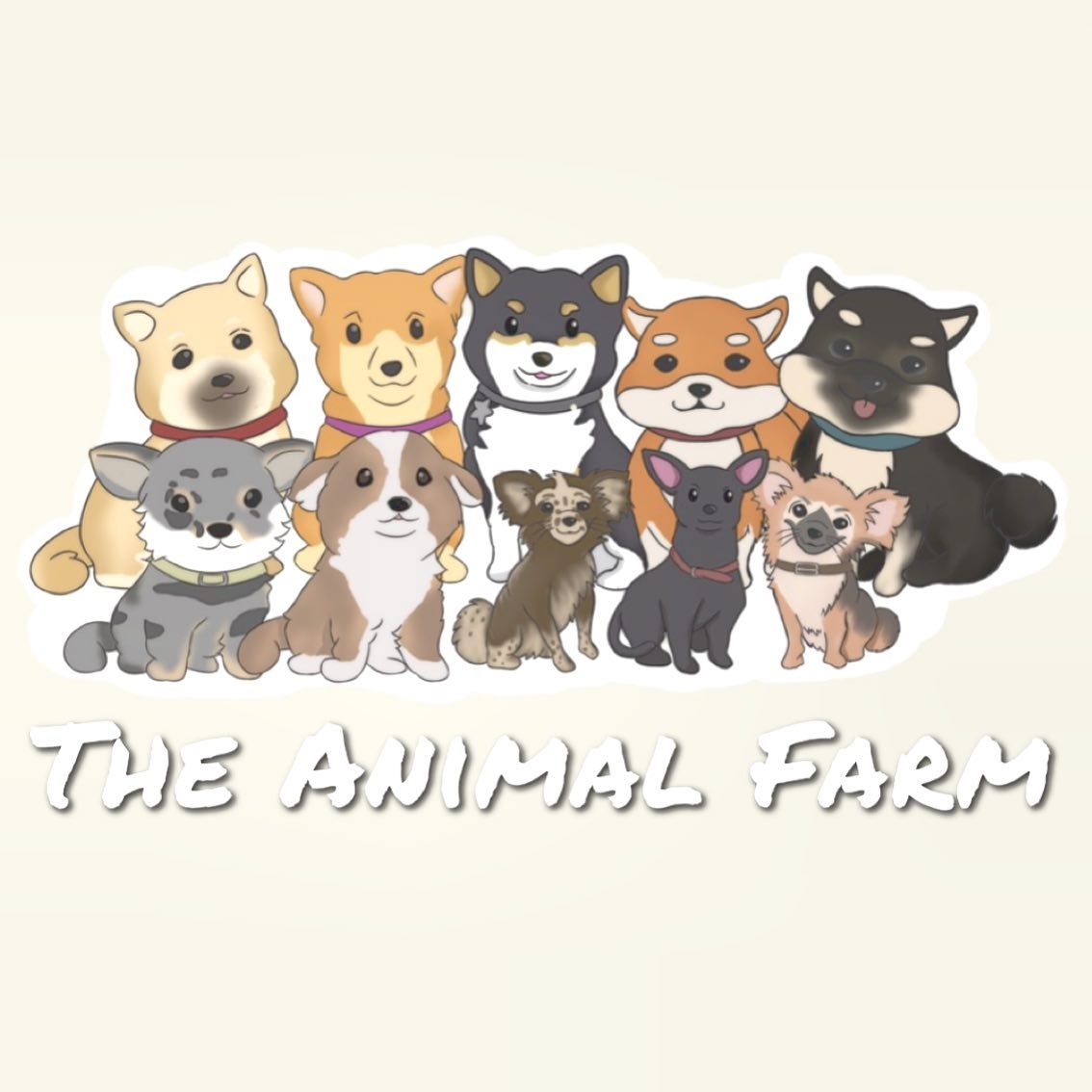 👀 Our new IG... - The Animal Farm Shiba Inus & Mameshibas | Facebook