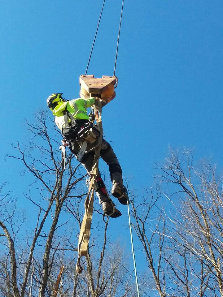 Top Notch Tree Service | West Sunbury PA