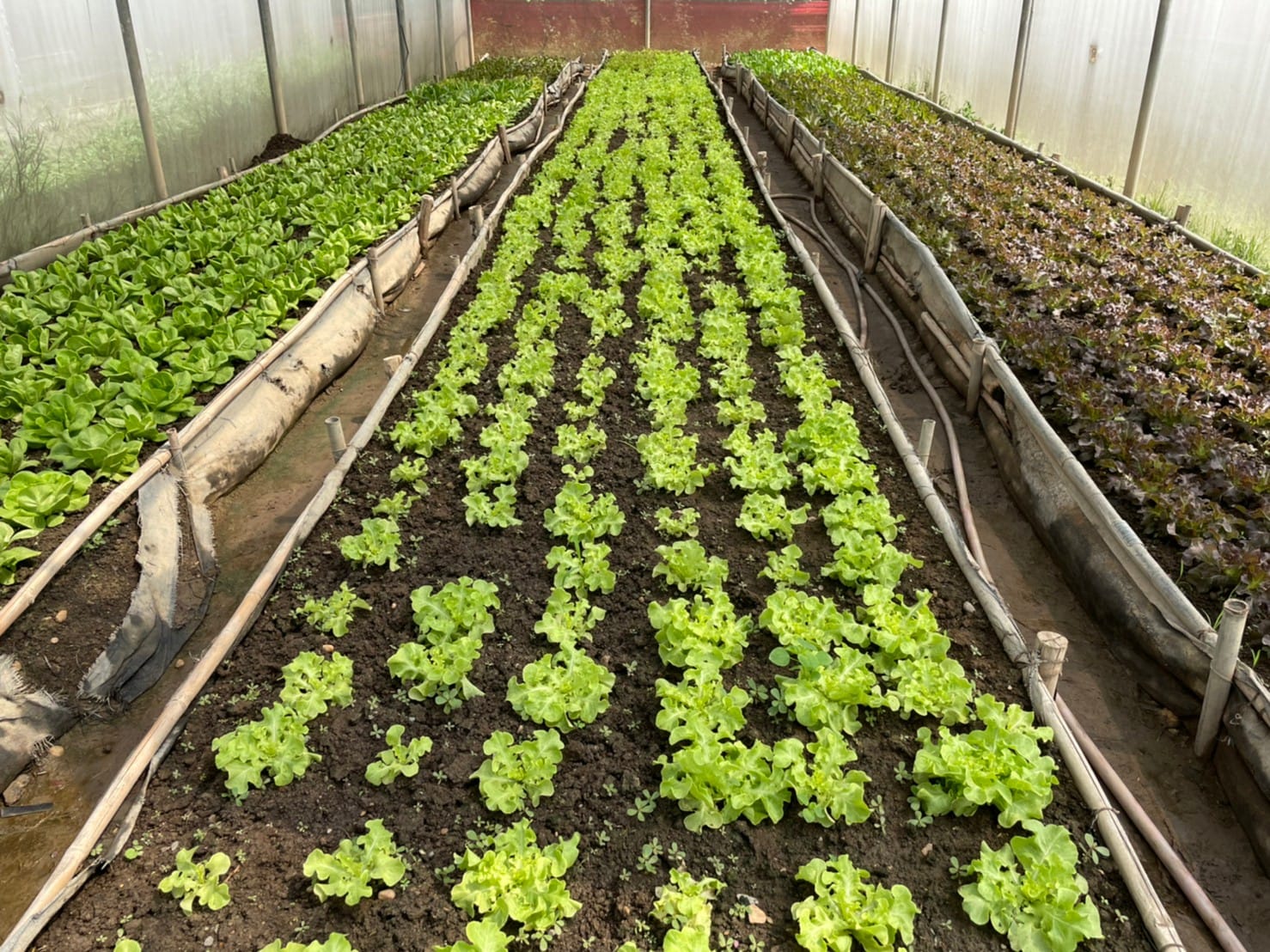 Unity Farm - Home