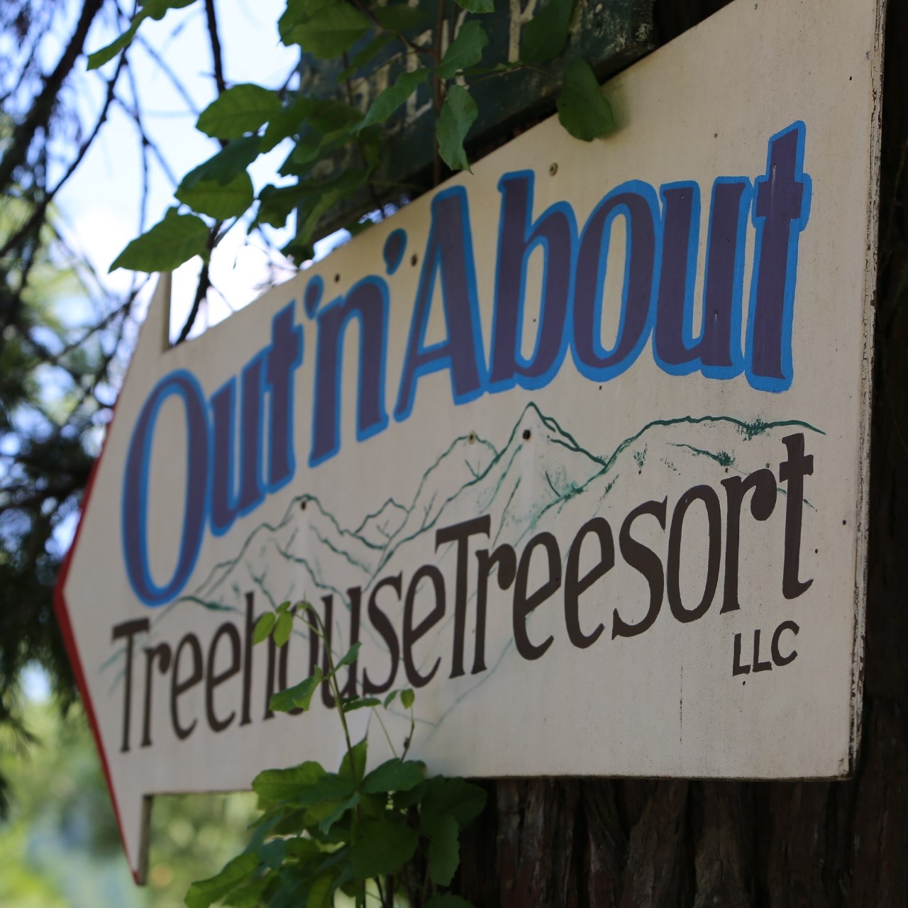 Out'n'About Treehouse... - Out'n'About Treehouse Treesort LLC