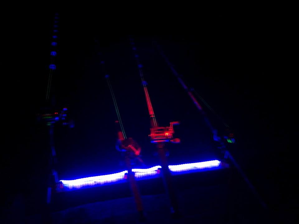 Mad Katz Rechargeable UV LED Blacklight For Night Fishing – 30 Watt, Portable