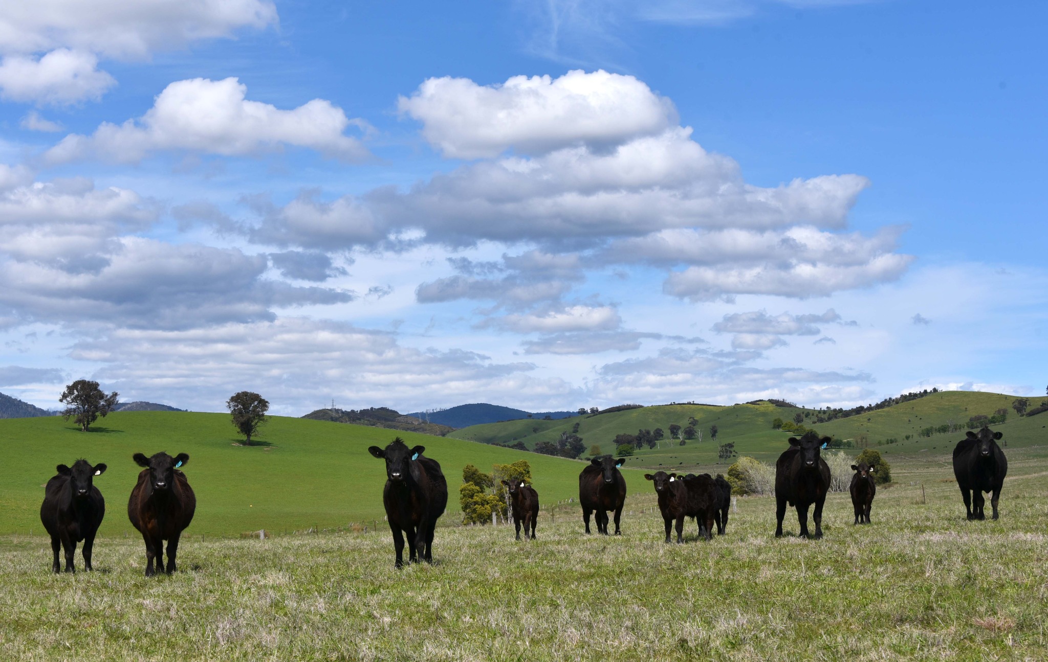 This week as we reflect on World Safety Day across all our sites at IPF ...
