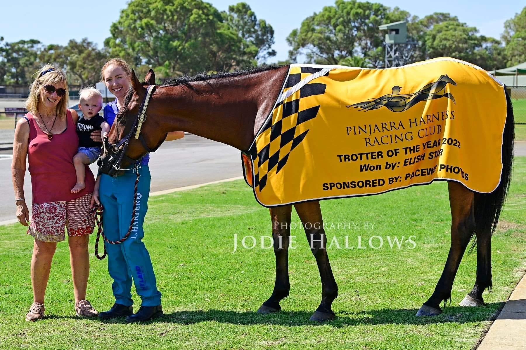 The pacing bred Elish Star, who was... - Racing WA Harness