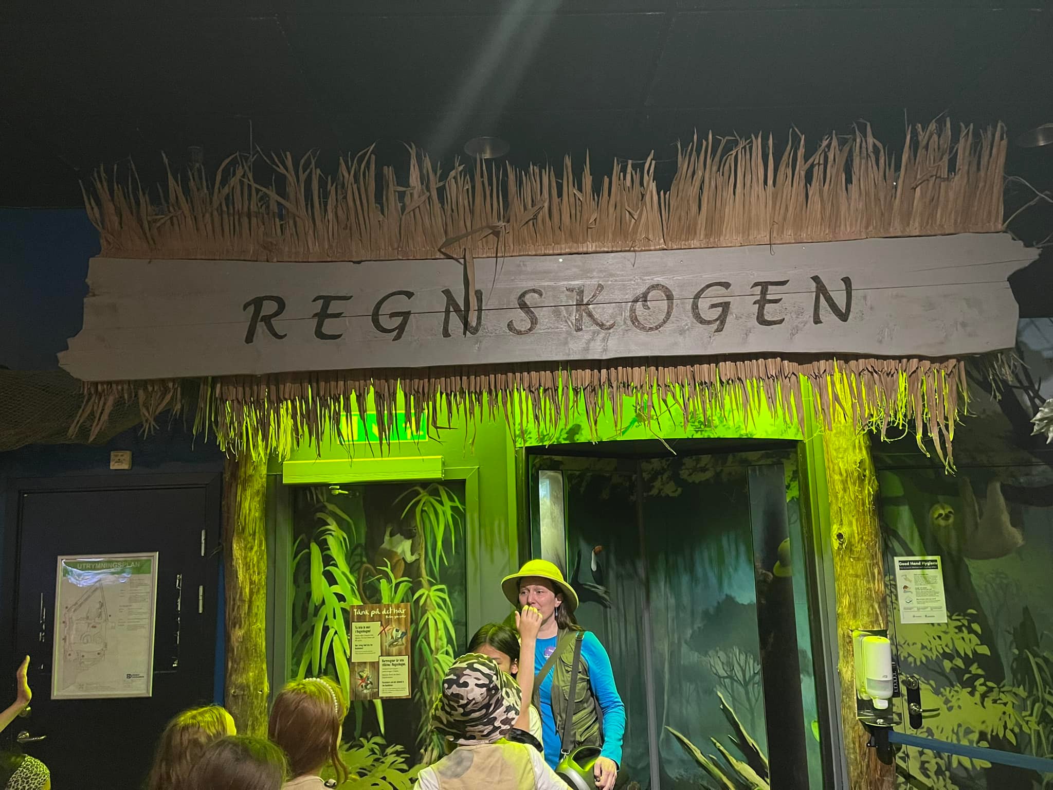 skogomeskolan
