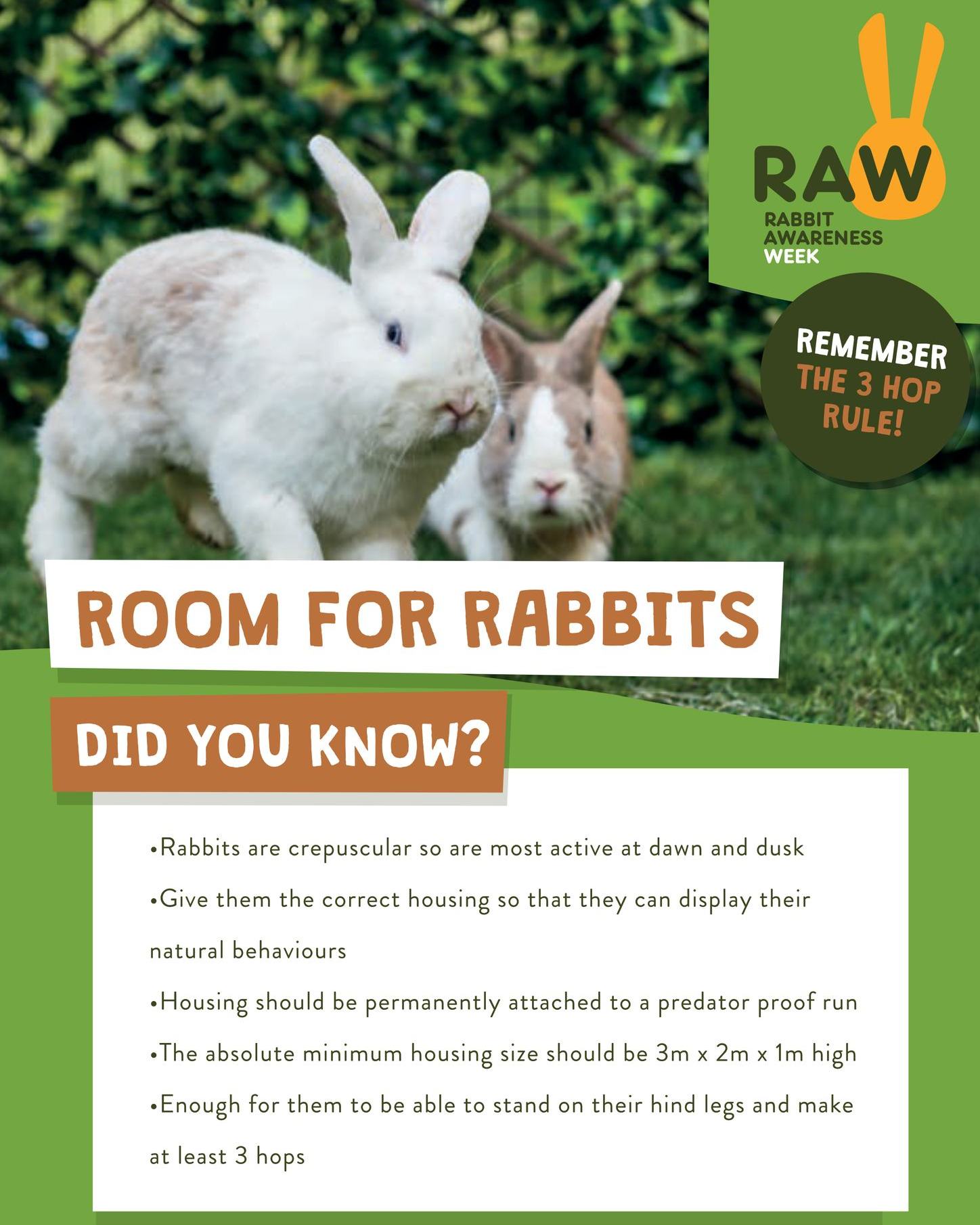 🐇 Remember the 3 hop rule!... - Old Courts Veterinary Centre | Facebook