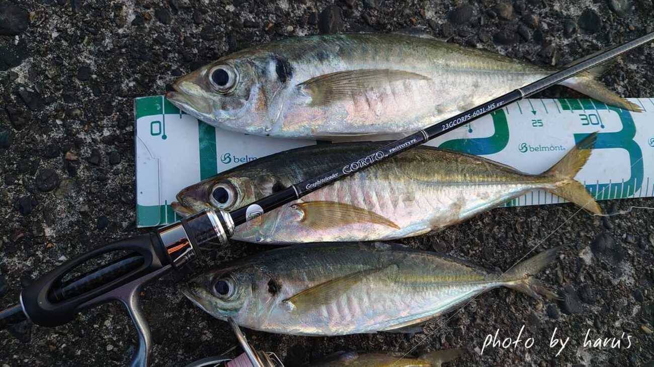 shimano 201 curado M 151/201 Casting Reel Rod Size:9' 12wt Built on the legacy 1 Oz. Square Fishing Rod In