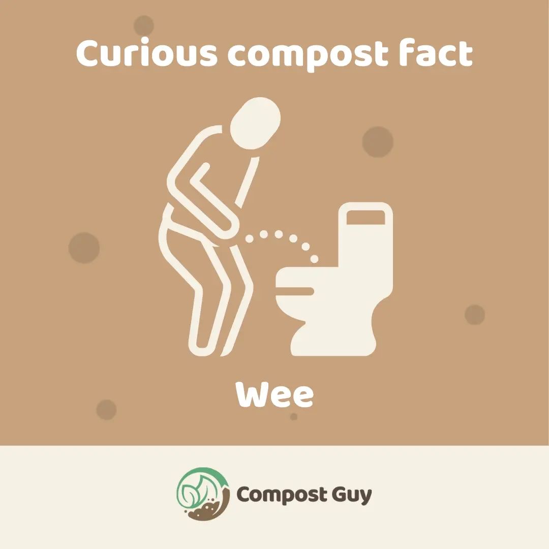 Compost Guy - Urine is great for compost. Your pee is rich...