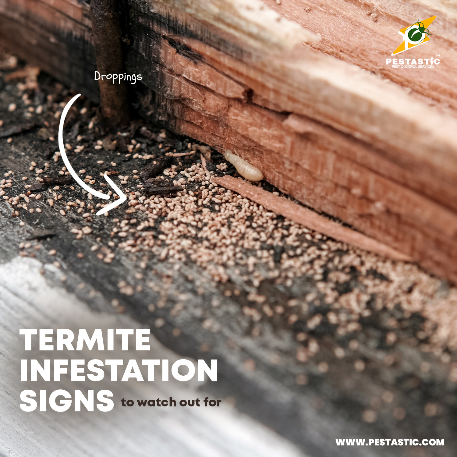 ANAY SIGNS |... - Pestastic Pest Control Services Philippines | Facebook