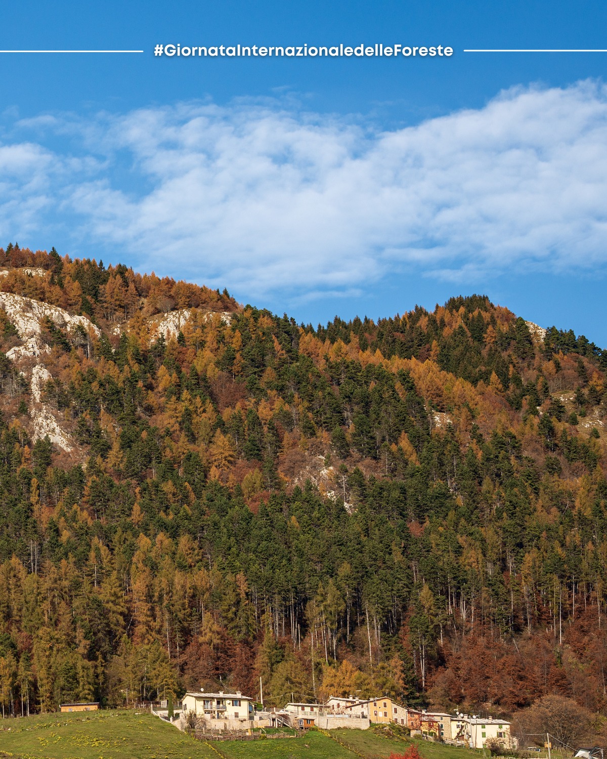 gronell-boschi-e-foreste-della-lessinia-la