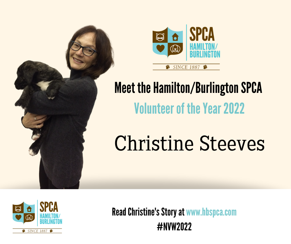 This year’s 2022 Volunteer of... - Hamilton/Burlington SPCA