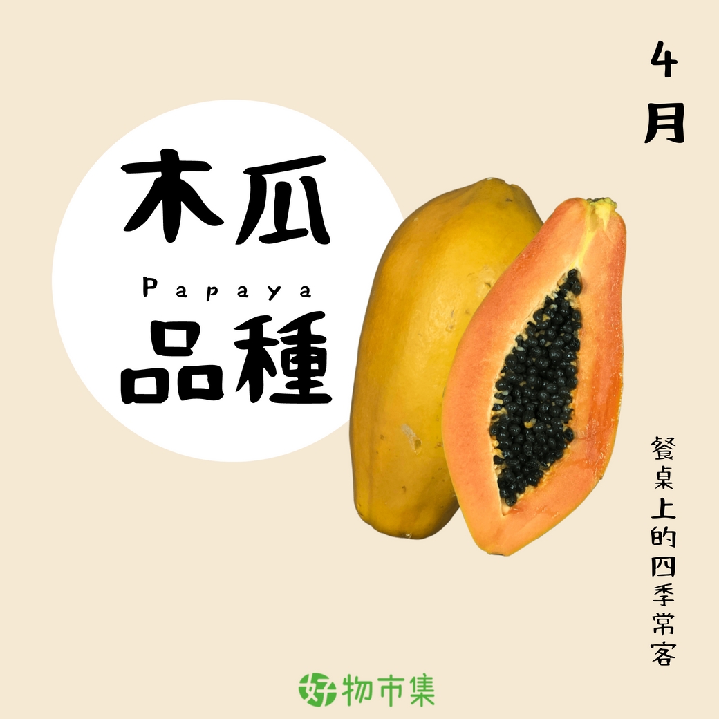 好物小百科 常見的木瓜種類台灣種植木瓜的歷史也70年 好物市集good Market Facebook