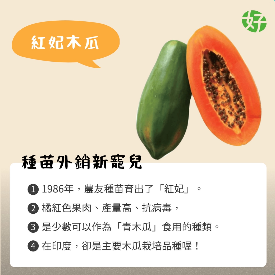 好物小百科 常見的木瓜種類台灣種植木瓜的歷史也70年 好物市集good Market Facebook