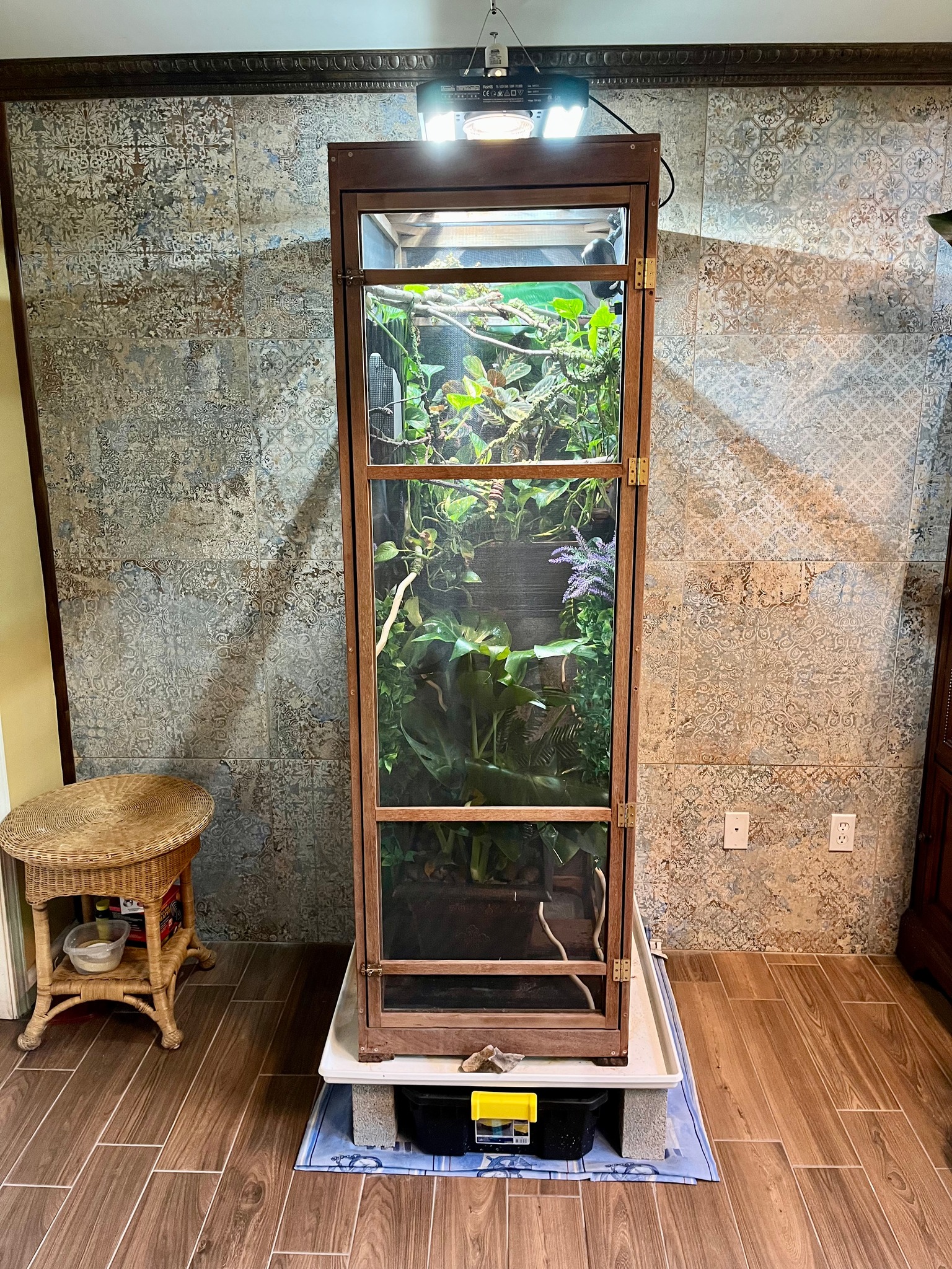 DIY Chameleon Room with Hidden Wiring