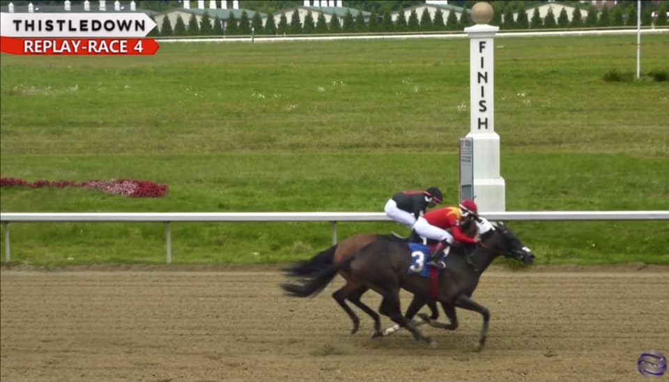 S.R. Racing Stables LLC added a... - S.R. Racing Stables LLC