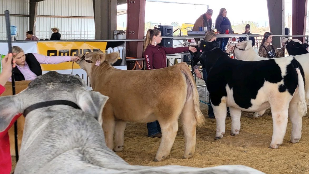 Rocker 7 Ranches | Buckeye AZ