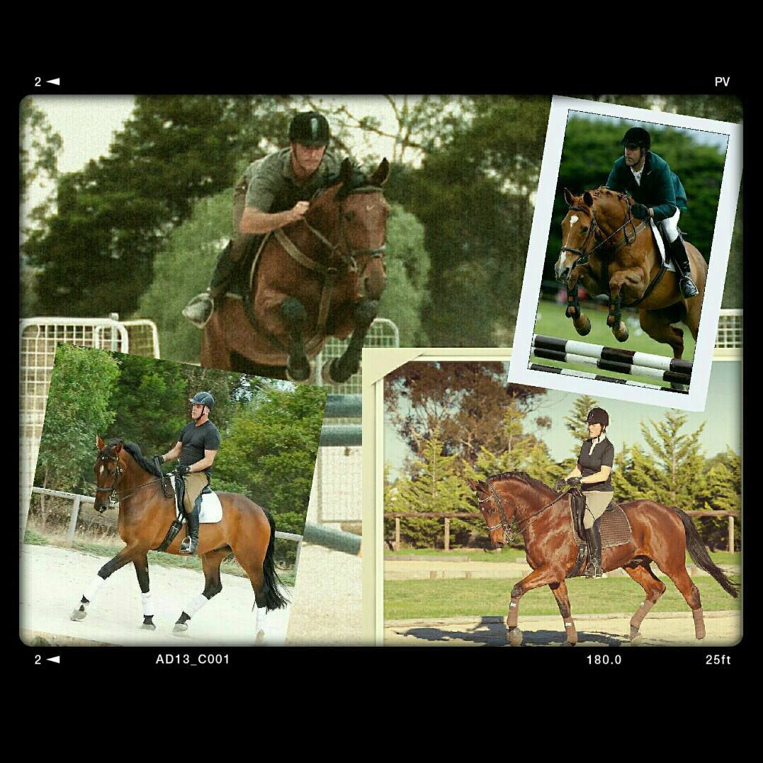 Olamber Equestrian Education - Both Amber & Oliver Evans are Qualified ...