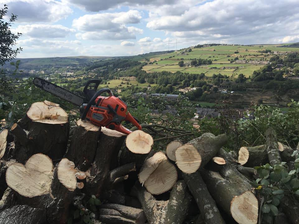 Treescaping | Huddersfield