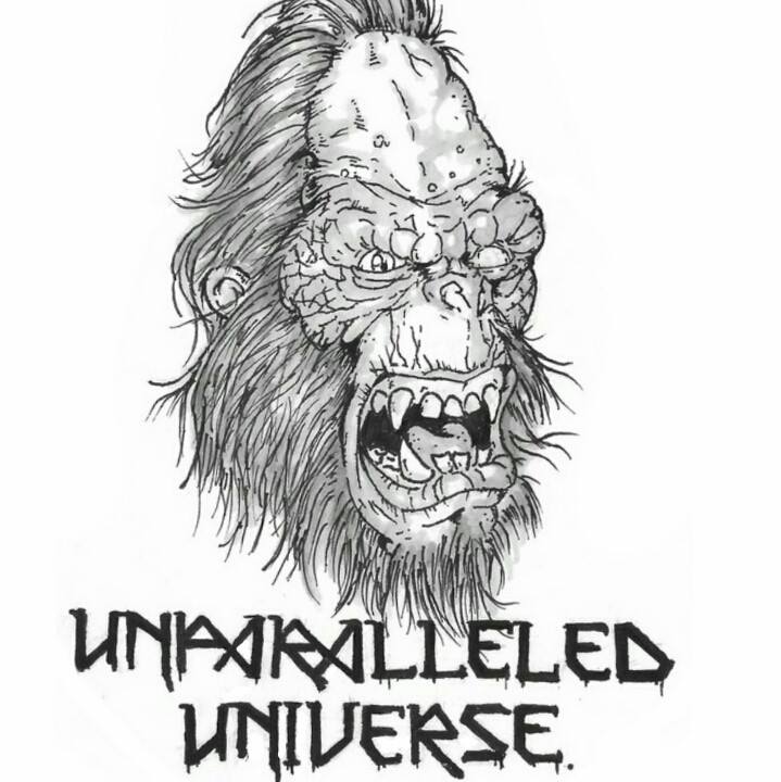 It’s always... - Unparalleled Universe Action Figure Reviews | Facebook