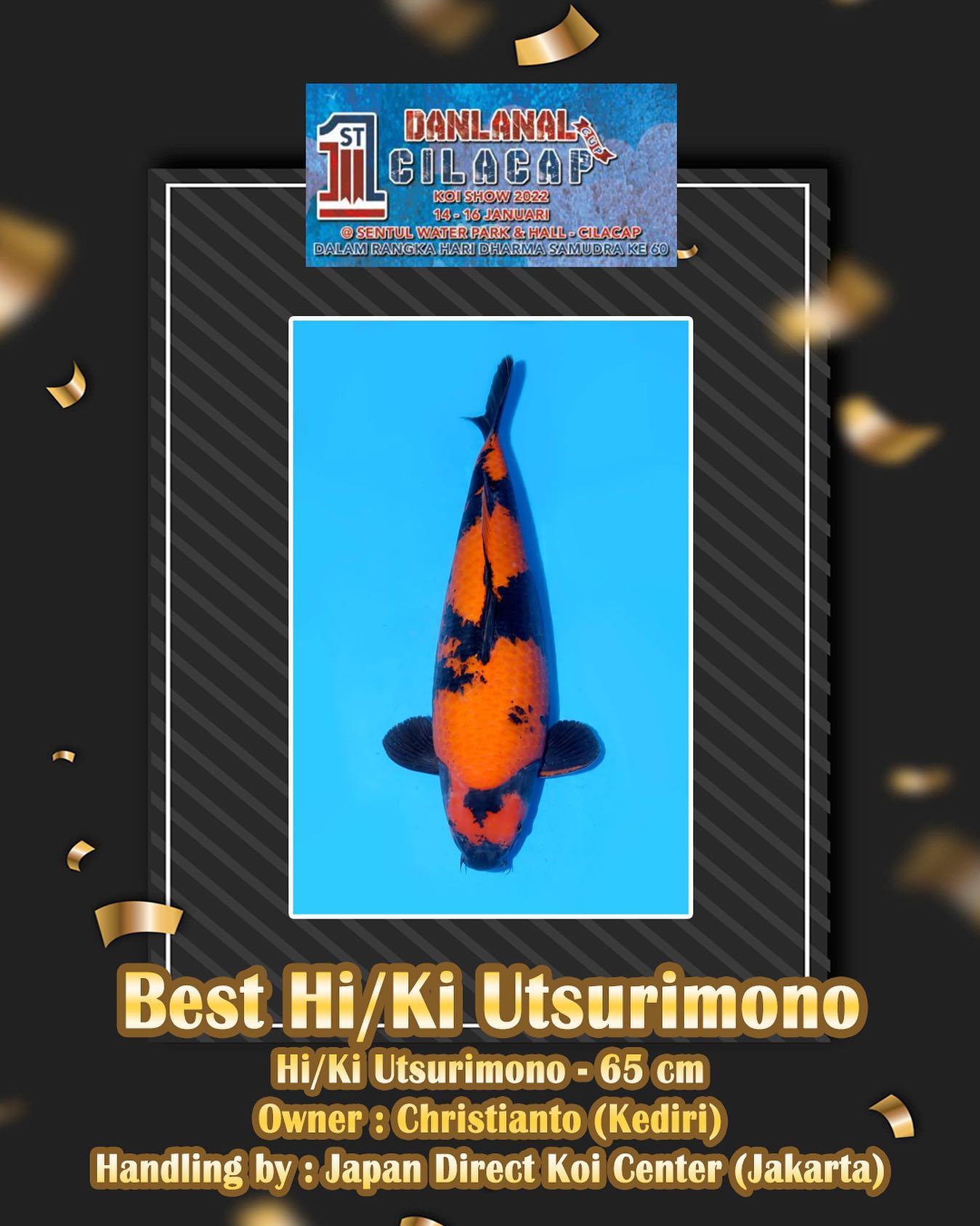 Big congratulations‼️🔥... - Japan Direct Koi Center - JDKC | Facebook
