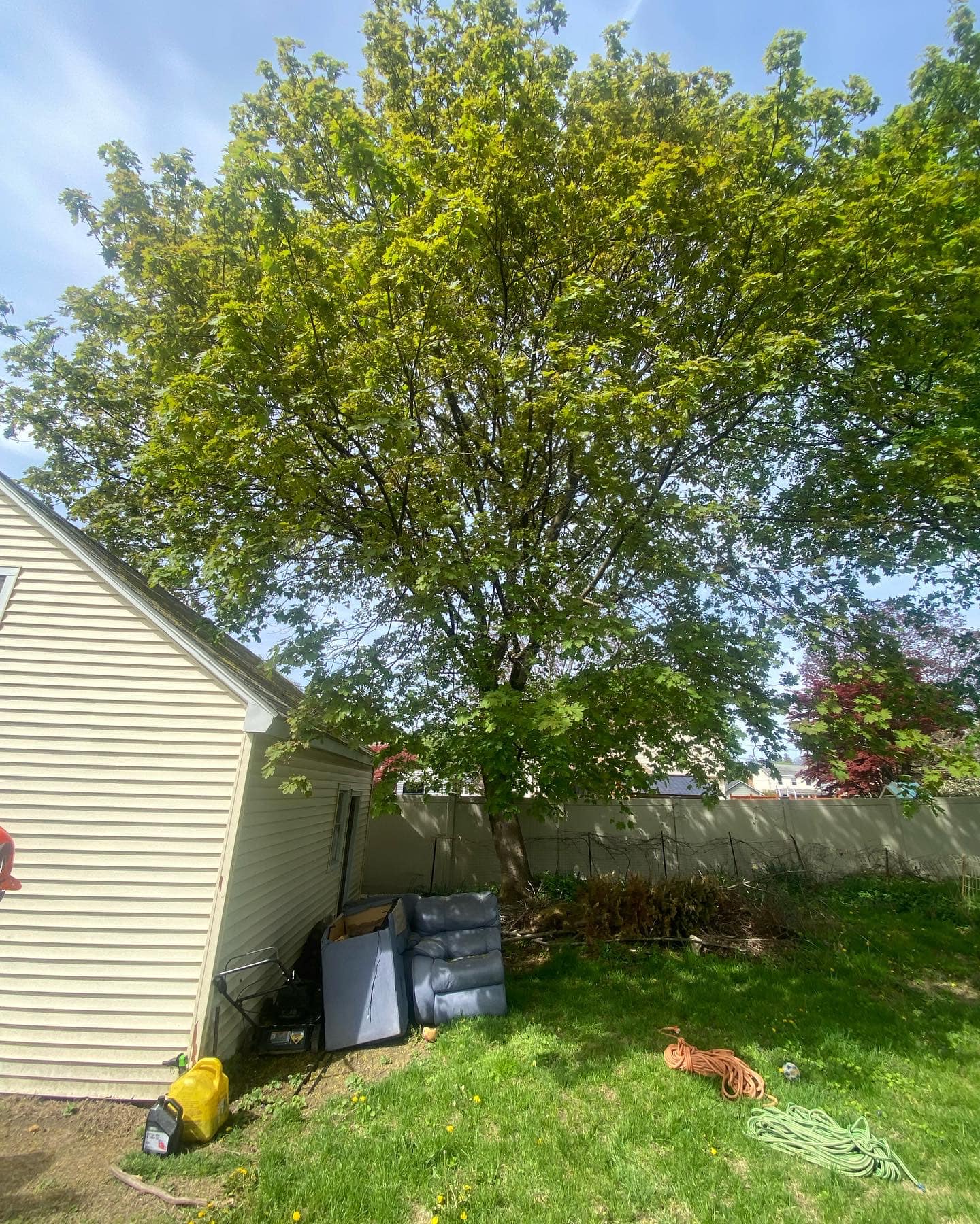 Top Notch Tree Care &... - Top Notch Tree Care & Removal