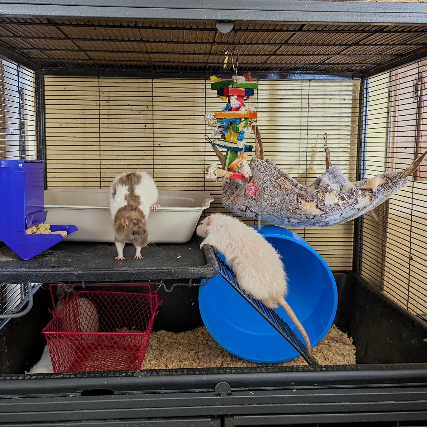 Rocky Point Rattery | Rocky Point NC