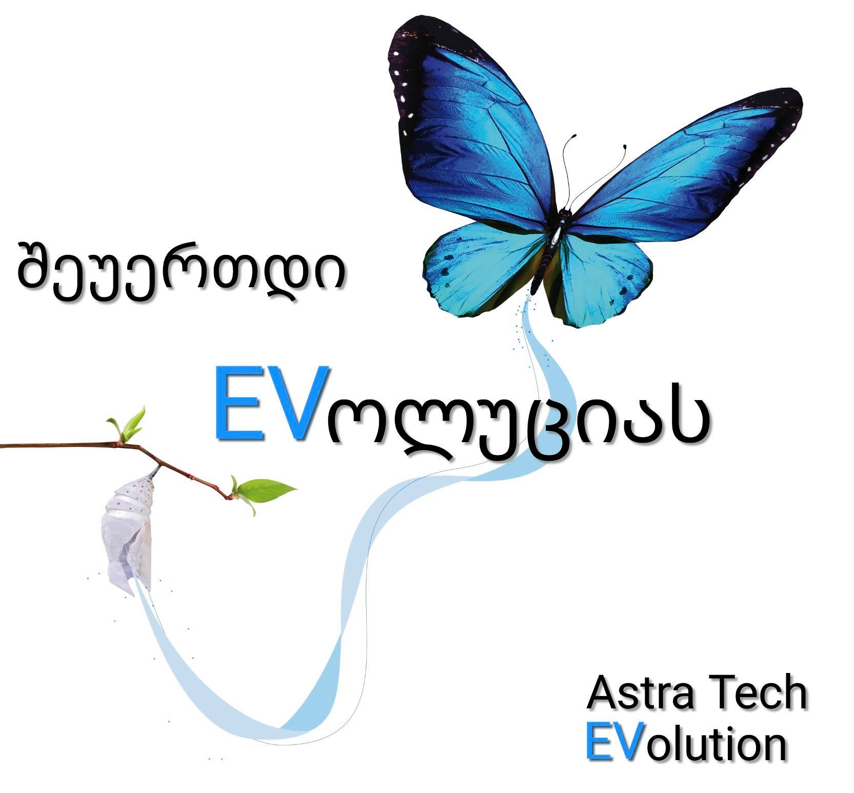 Astra Tech Implant System Georgia | Tbilisi