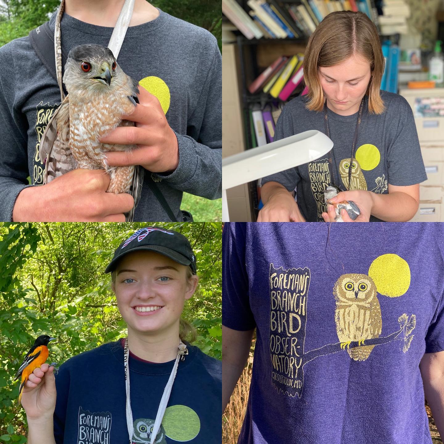Project Owlnet