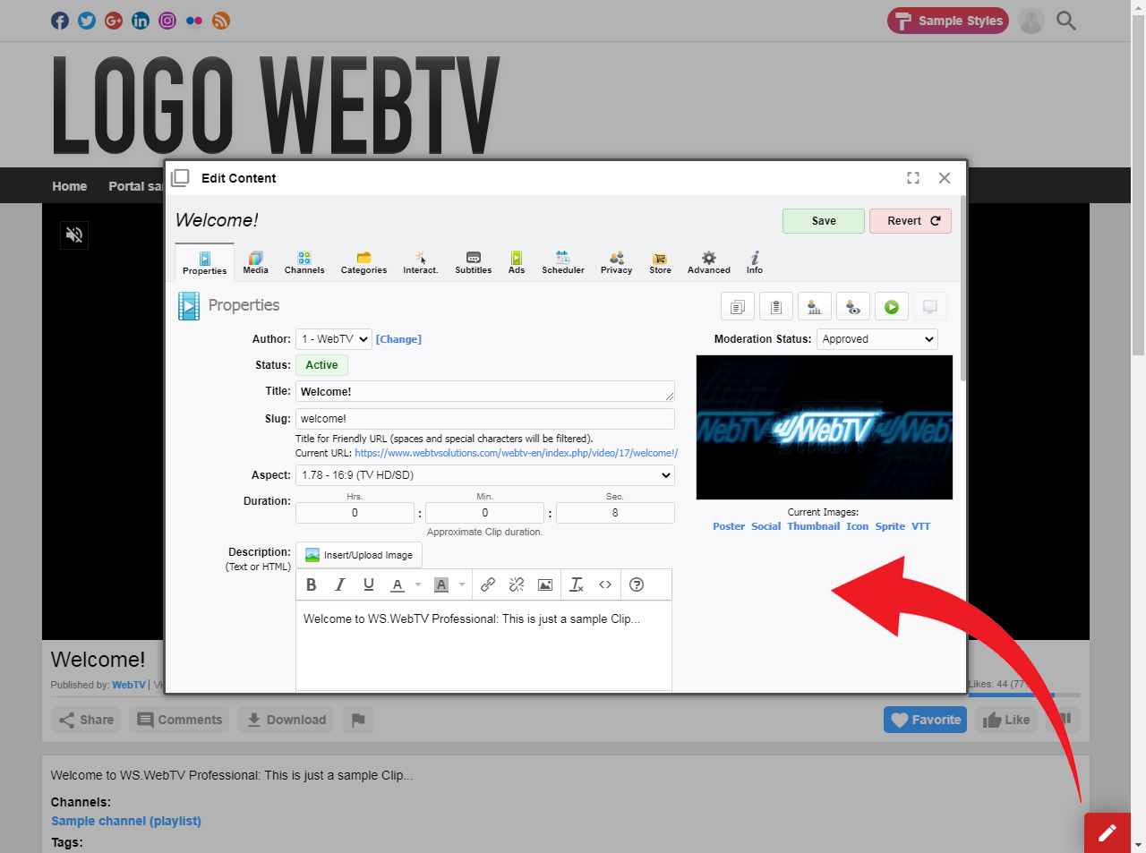 WebTV Solutions