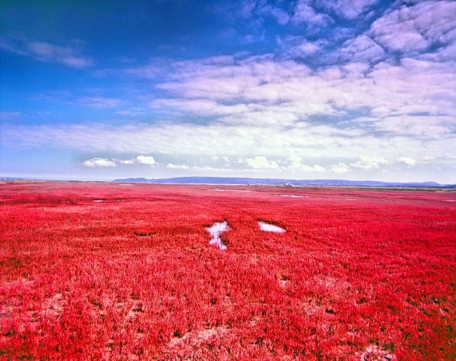 ZEKKEI Japan - 【Hokkaido｜Lake Notoro】 How to get to☟...