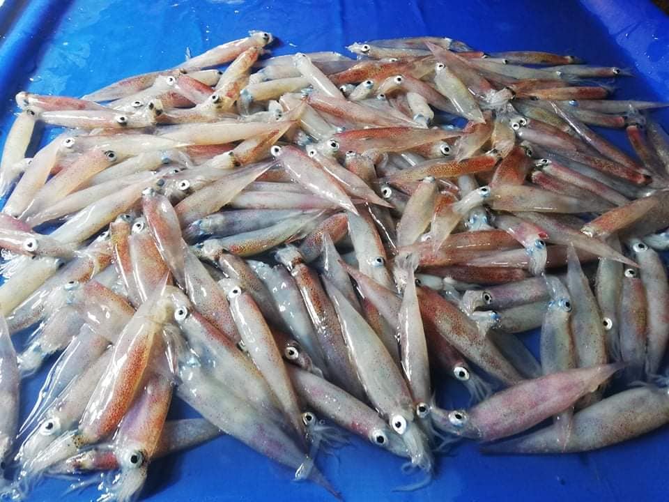 MGA ISDA MAPALIT KUMAN SA SURIGAO CITY... - RPN DXKS Surigao | Facebook