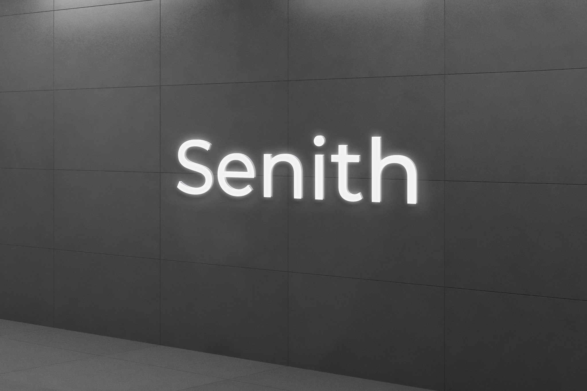 Senith Consultancy