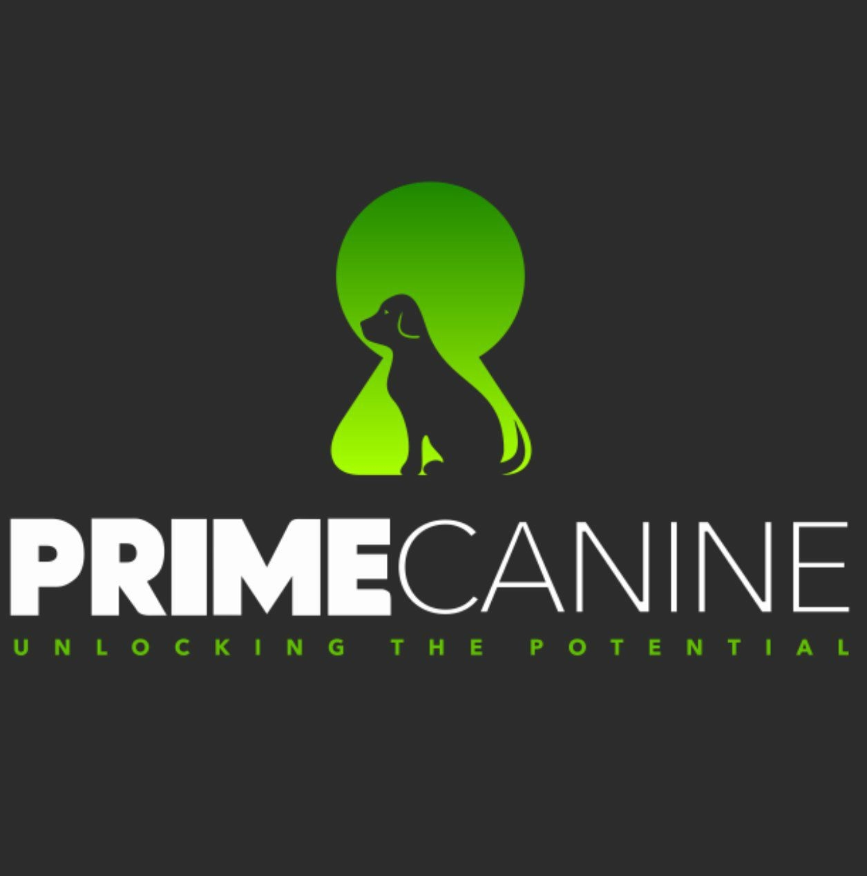 Does your dog have a spot that they 'made'? 😂 | Prime Canine