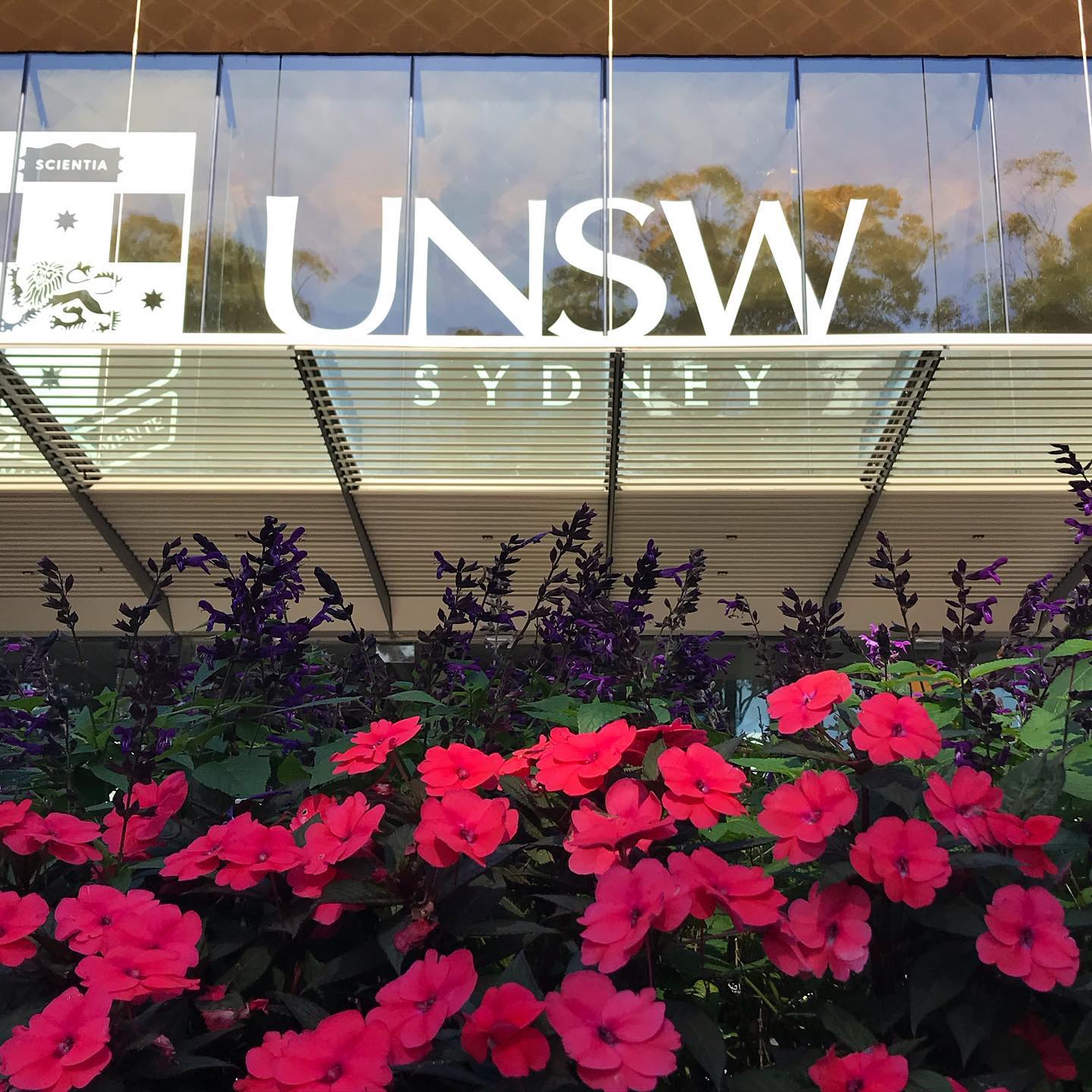 Our campus is serving looks this spring 🌺 - UNSW Engineering