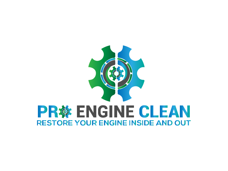 PRO ENGINE CLEAN