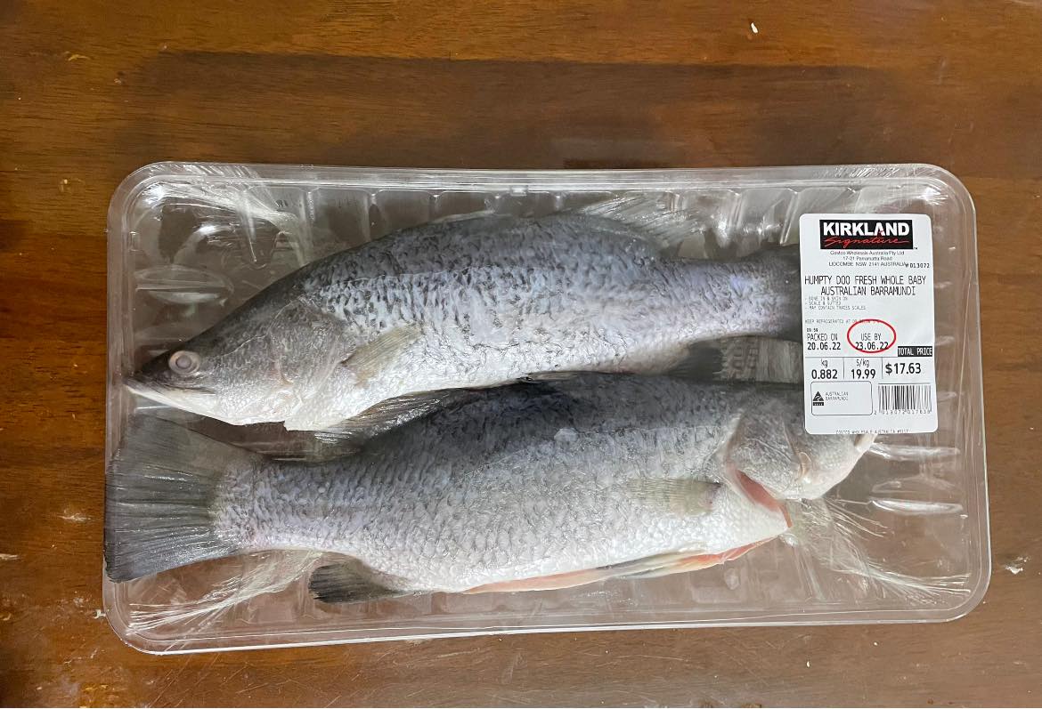 $100 fly reel Daiwa Rochhommore A 100A : Baitcasting Fishing Reels : Sports & Outdoors remove fishing line With larger diameters PENN Rival Level Wind/Ugly Net Mesh Size:2