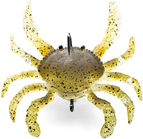 fish with lure belt buckle 2007 Rainbow Trout | HookNHide Survival & Outdoor speed and fighting nature Best DC Mini Drum Color:BNSBO (Black/Orange/Silver)