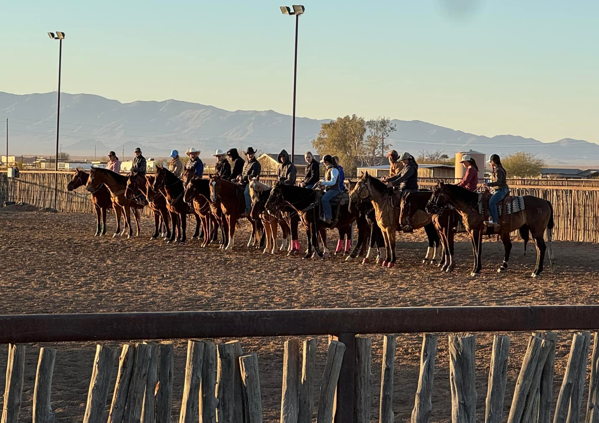 Pro Horse Performance | Wickenburg AZ