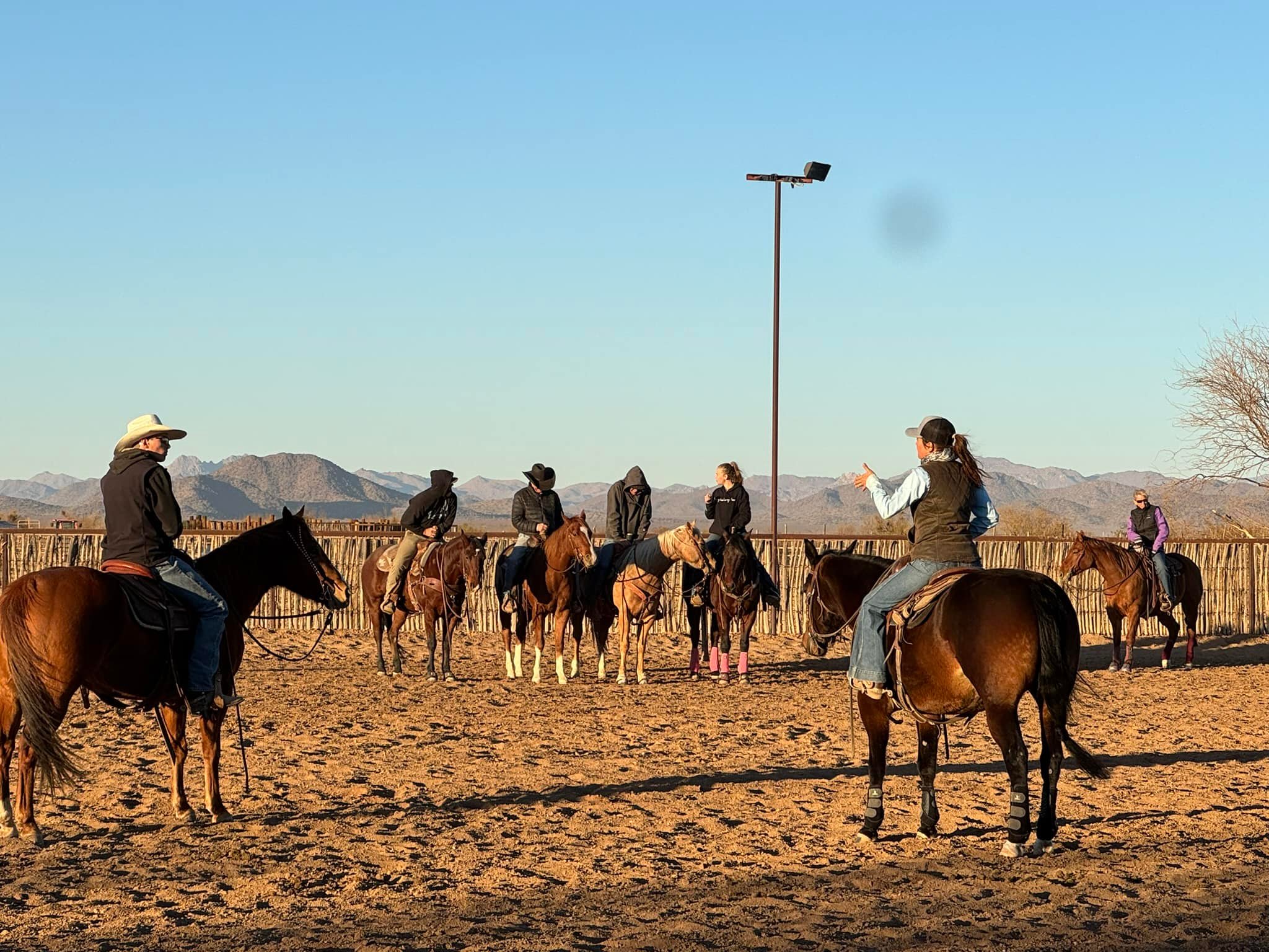 Pro Horse Performance | Wickenburg AZ