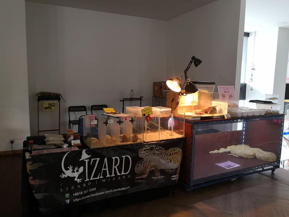 Lizards Wizard - Kids Education Fair. Date: 16-17 NOV 2019...
