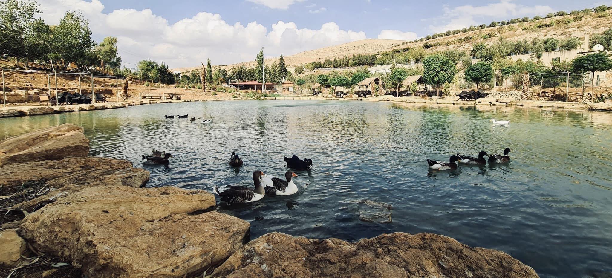 بحيرة الوادي | Jerash
