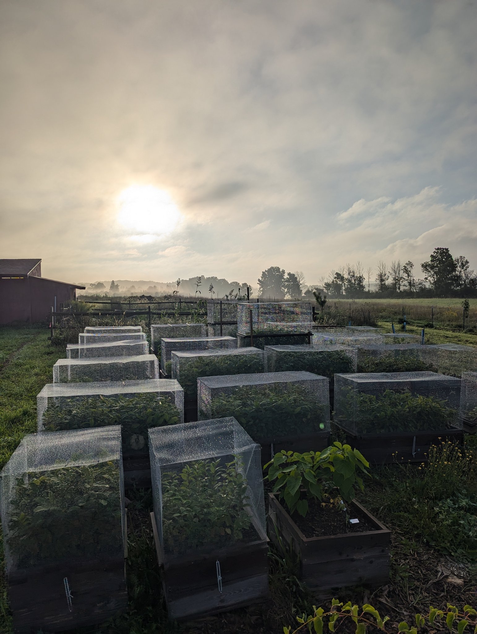 Humble Roots Tree Farm | West Bloomfield NY