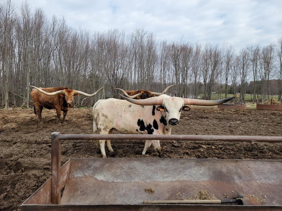Triple-R-Ranch | Horton MI
