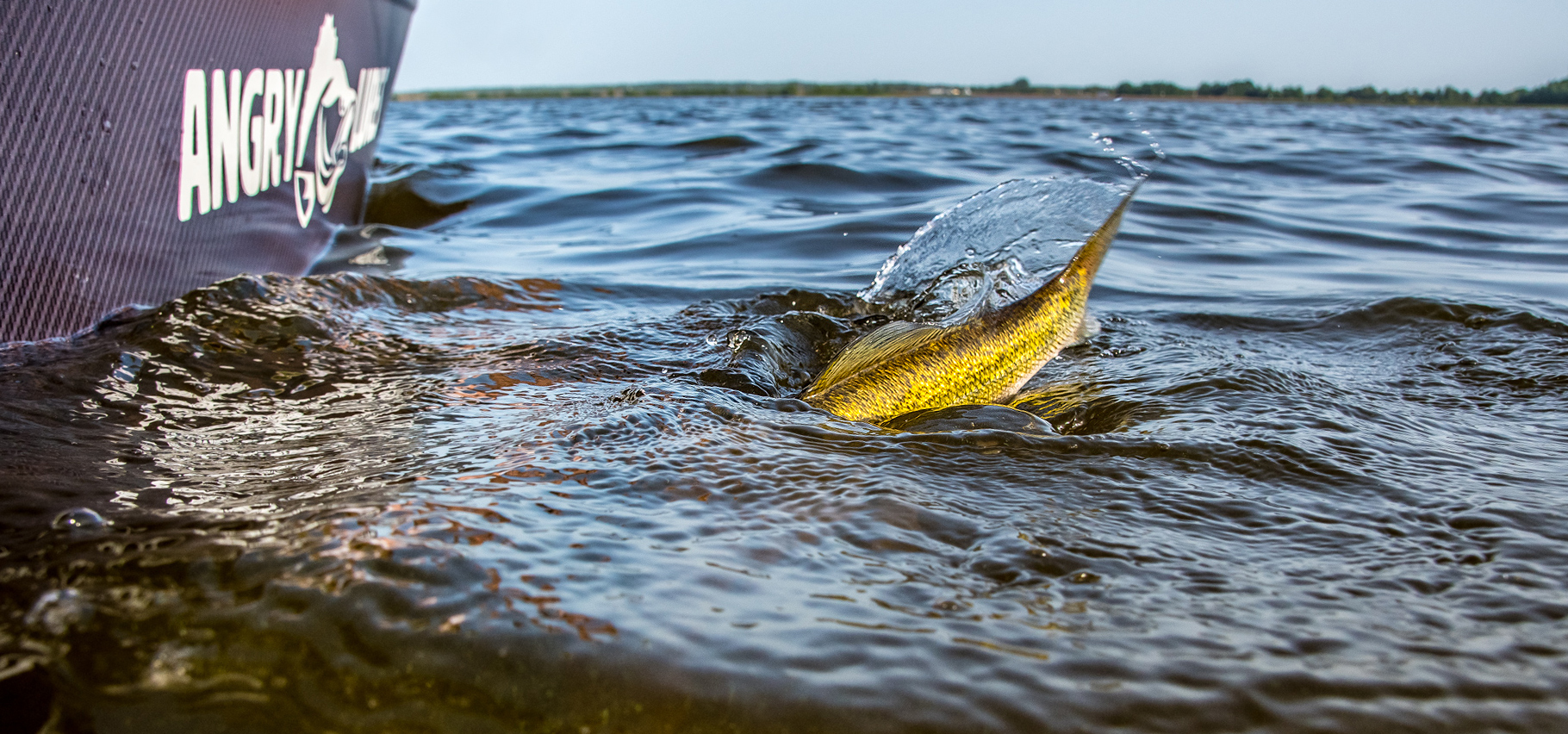 Angry Lures
